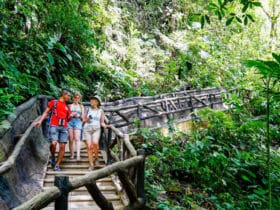 People walking on an Intrepid Travel premium tour in Costa Rica