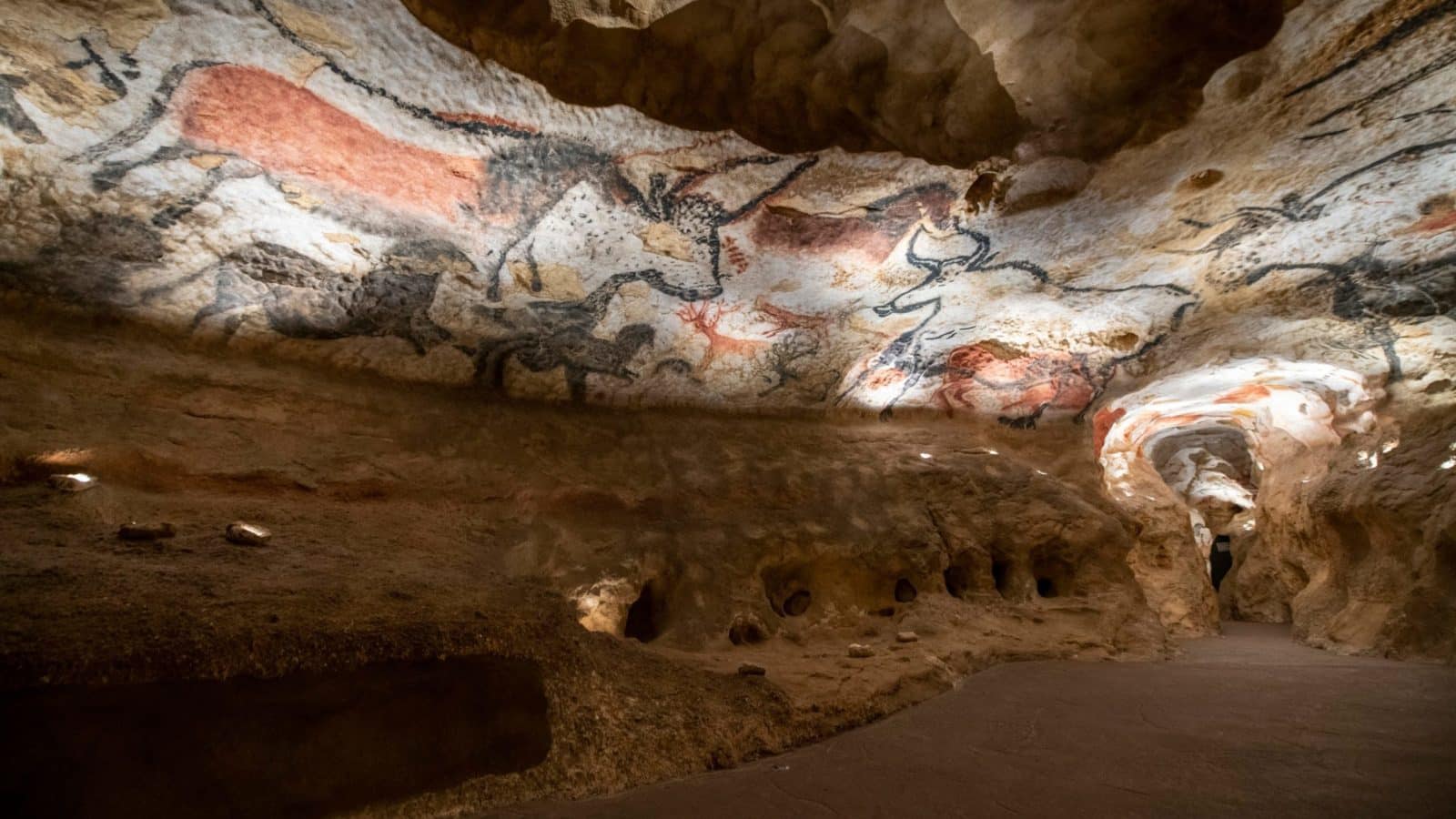 7 Best France Tours to Take in 2024 - Tour Scoop