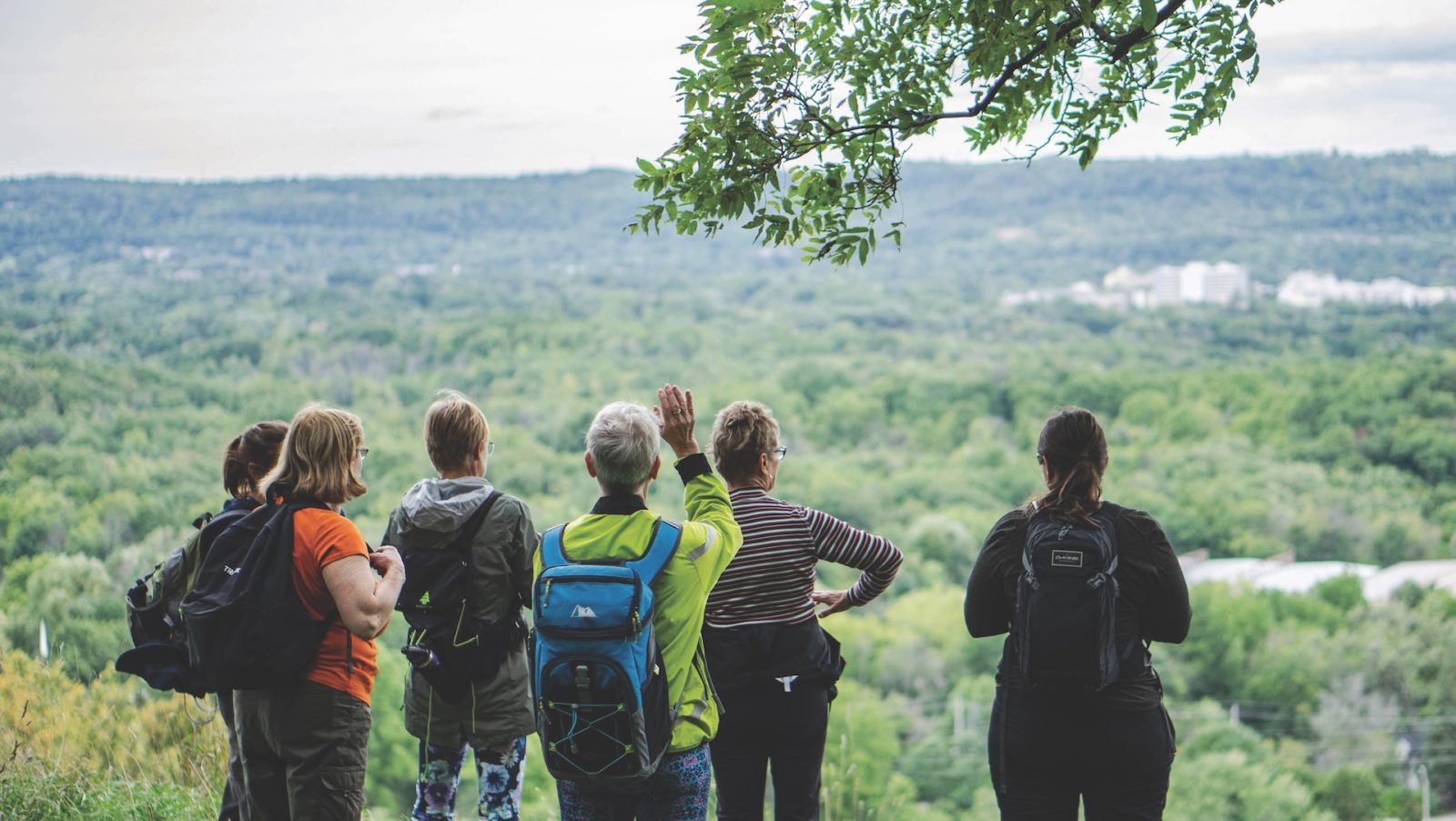 What to Know About Road Scholar Before You Book Tour Scoop