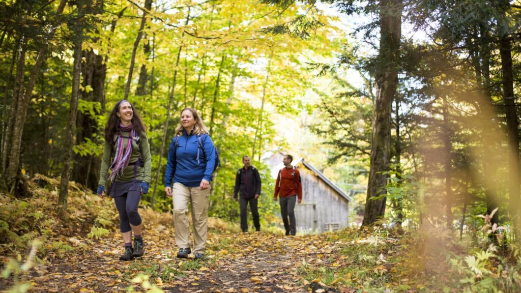 hikers on a Country Walkers walking tour in Vermont walking through a forest in fall.