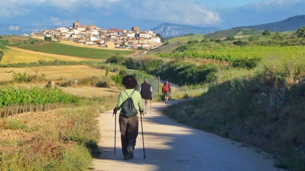 group of hikers and pilgrims walking along Spain's Camino de Santiago
