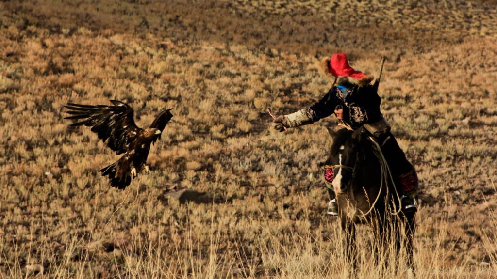 Kazakh Nomad on horseback hunting with an eagle in Mongolia