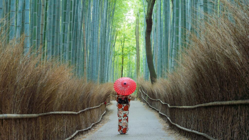 Person in traditional kimono standing in Arashiyama Bamboo Forest in Kyoto, Japan.