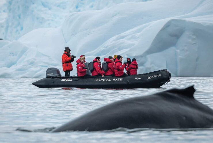 Guests aboard a zodiac boat on an Antarctica expedition cruise with Abercrombie & Kent