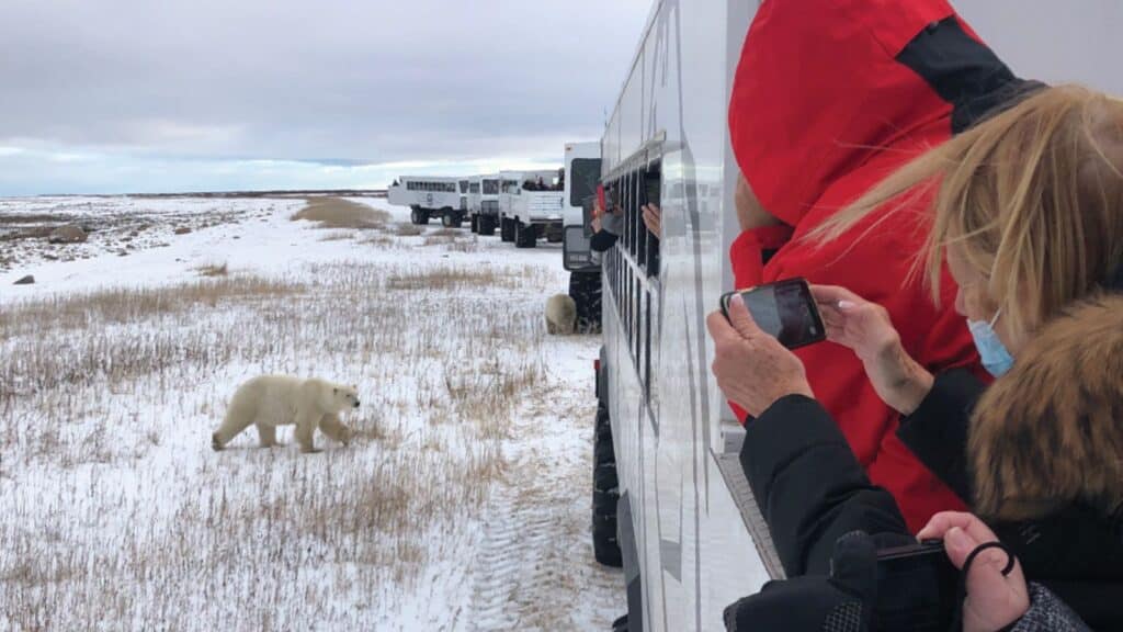 Tauck Tour guests on a polar bear watching expedition