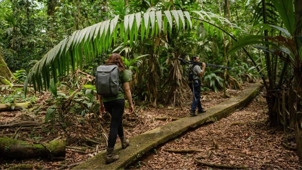 Walking in La Selva Biological Station and Reserve in Costa Rica (Photo: Steven Diaz)