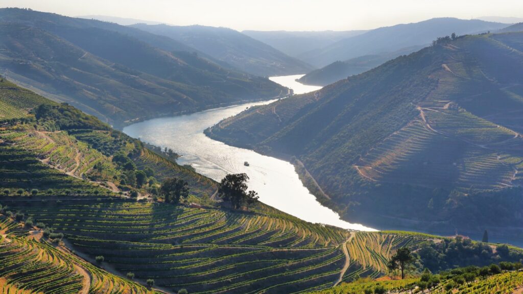 Douro Valley vineyards and river viewed from Valença do Douro in Portugal