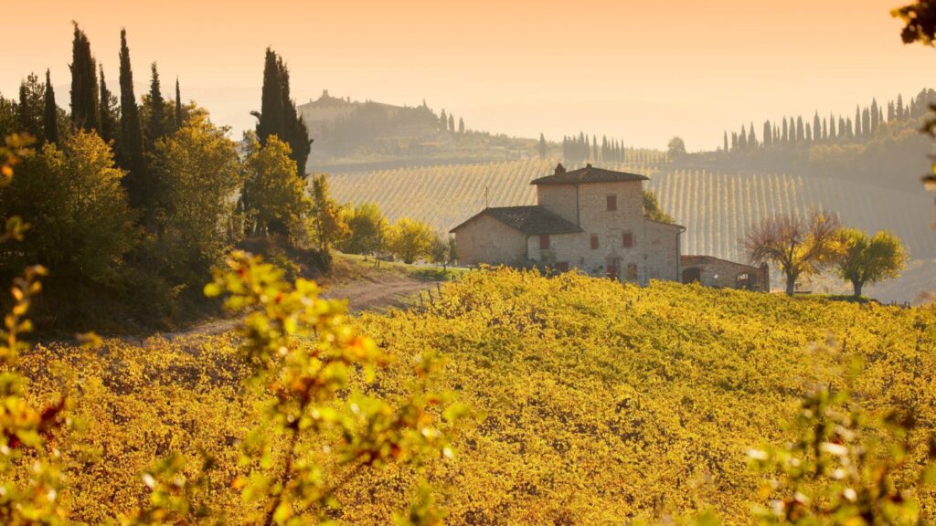 Vineyards in autumn in Chianti, Italy