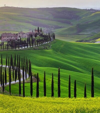 Green hills of Tuscany in early spring