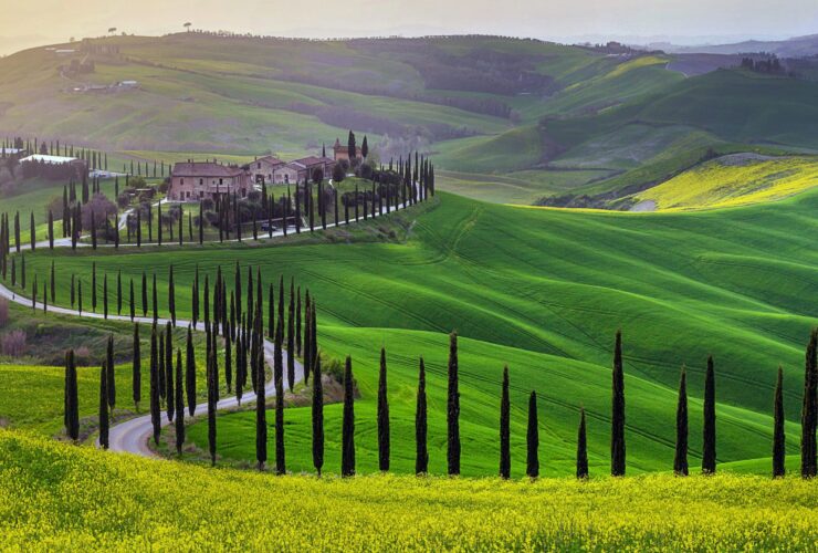 Green hills of Tuscany in early spring