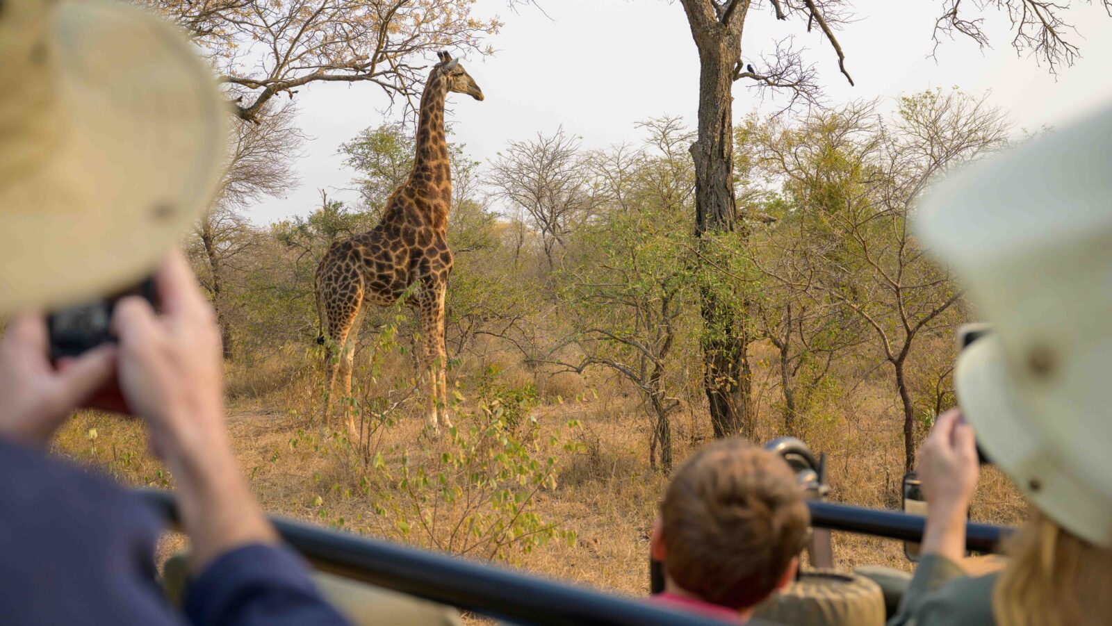 Adventures by Disney South Africa pic of family on safari taking pictures of a giraffe