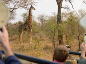 Adventures by Disney South Africa pic of family on safari taking pictures of a giraffe