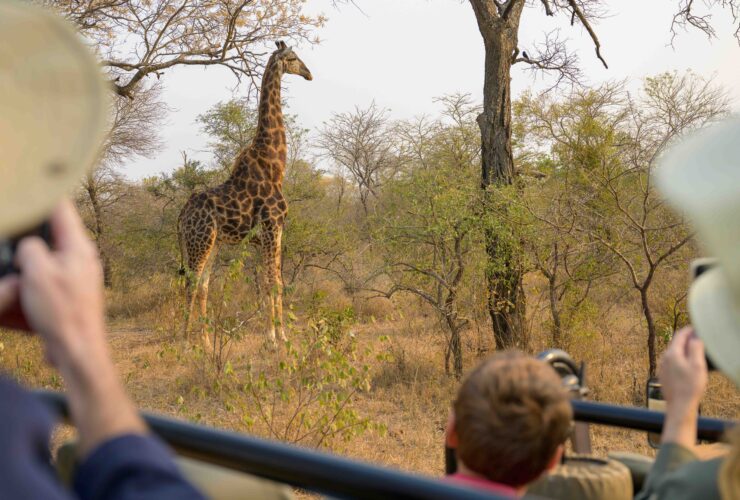 Adventures by Disney South Africa pic of family on safari taking pictures of a giraffe
