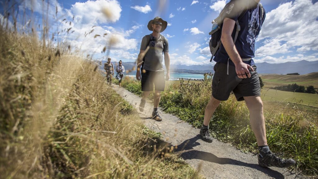 G Adventures participants hiking on New Zealand Kaikoura trail