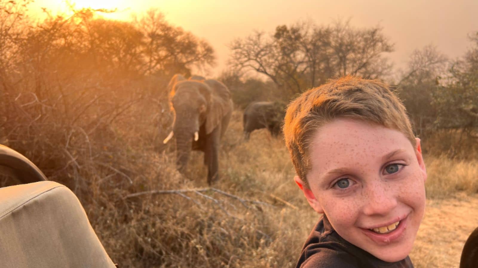 Adventures By Disney South Africa Tour Review 2024 Tour Scoop