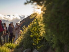 people hiking on a Globus tour