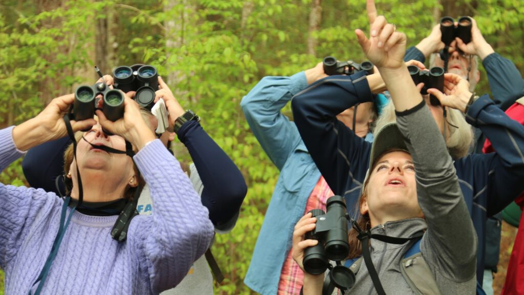 Road Scholar participants wildlife watching in Pocomoke River State Park