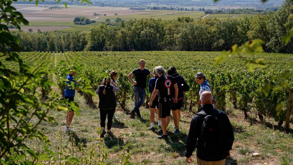 Travelers visiting a winery in Burgundy on a Butterfield & Robinson biking tour