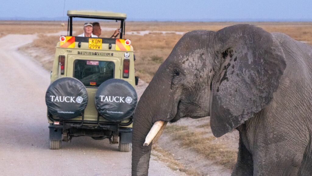 Tauck tour guests on safari looking at an elephant crossing a road on the company's Kenya and Tanzania Classic Safari