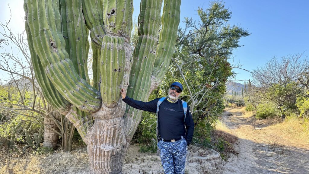 naturalist leaning against a cactus in Baja California Sur on a Lindblad tour of Baja Cailfornia.