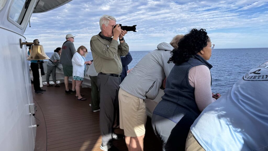 Lindblad Expeditions guests on the Baja California: Among the Whales cruise taking photos of whales from the bow of the ship