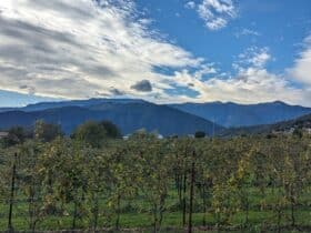 view of fields and mountains on a sunny day in Asolo Italy on a Collette Tours vacation
