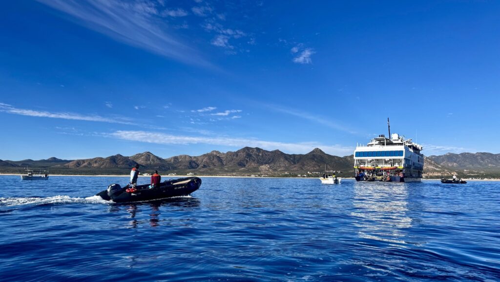 zodiac and panga near the National Geographic Venture during a Baja California: Among the Great Whales Lindblad sailing