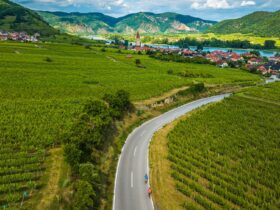 aerial view of vineyards and town with Backroads tour bicyclists on road