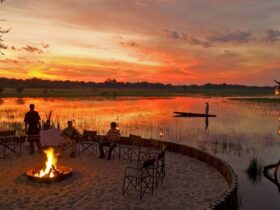 Botswana Sanctuary Chief's Camp on Abercrombie & Kent safari tour