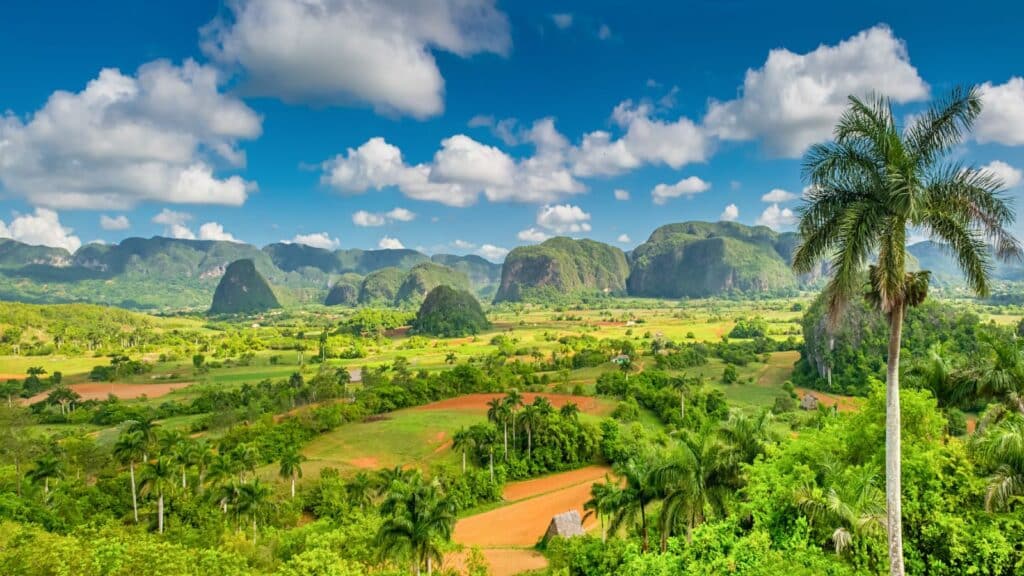 Landscape in Cuba with palm tree in foreground