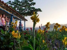 travelers on an Exodus Cuba tour looking out from a porch onto the countryside