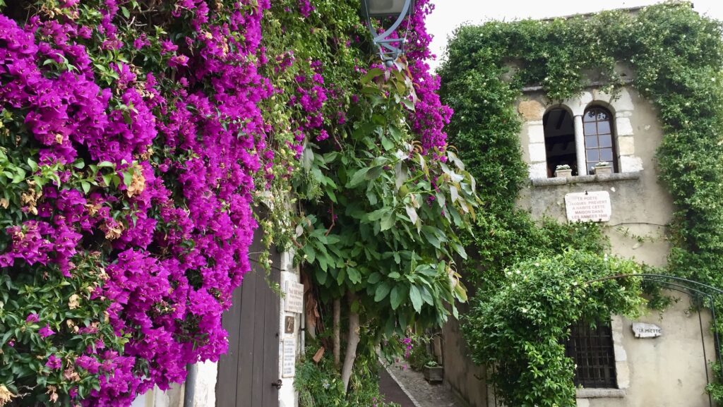 View of street in small town in provence, france with flowers in foreground