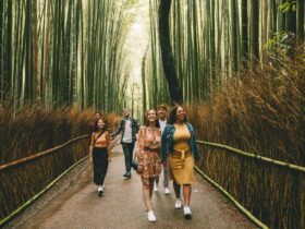 Young travelers on a Contiki tour of Japan in a bamboo forest