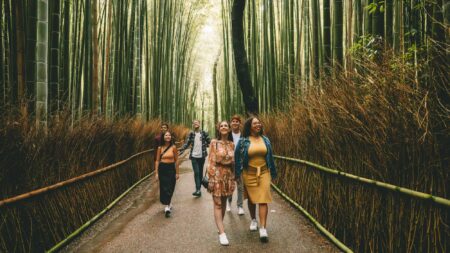 Young travelers on a Contiki tour of Japan in a bamboo forest