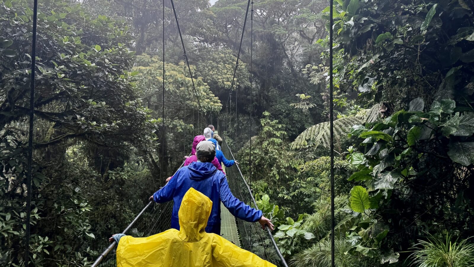 people on Monteverde Cloud Forest suspension bridge in Costa Rica