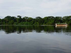 boat on river in tortuguero national park in costa rica on a trafalgar tour