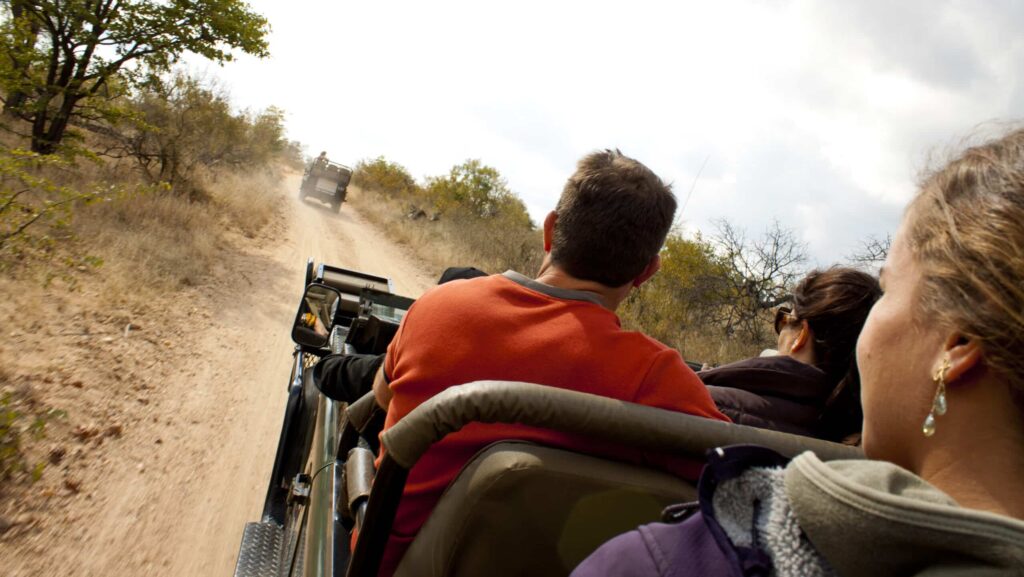 People riding in game vehicles on a safari in South Africa