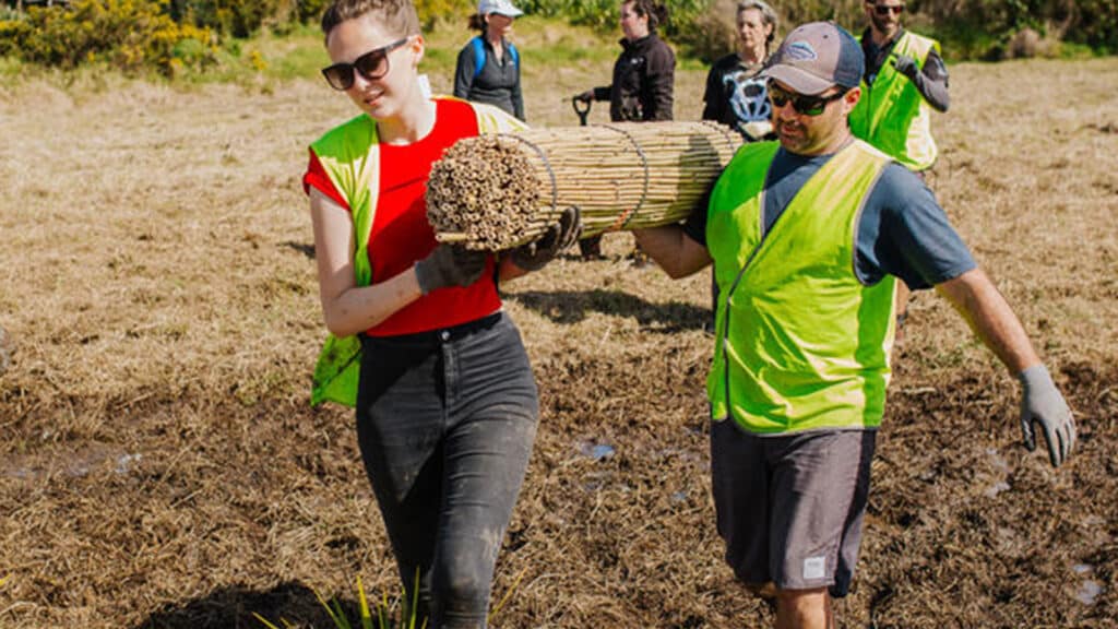 Two people carrying natural materials for a volunteer project