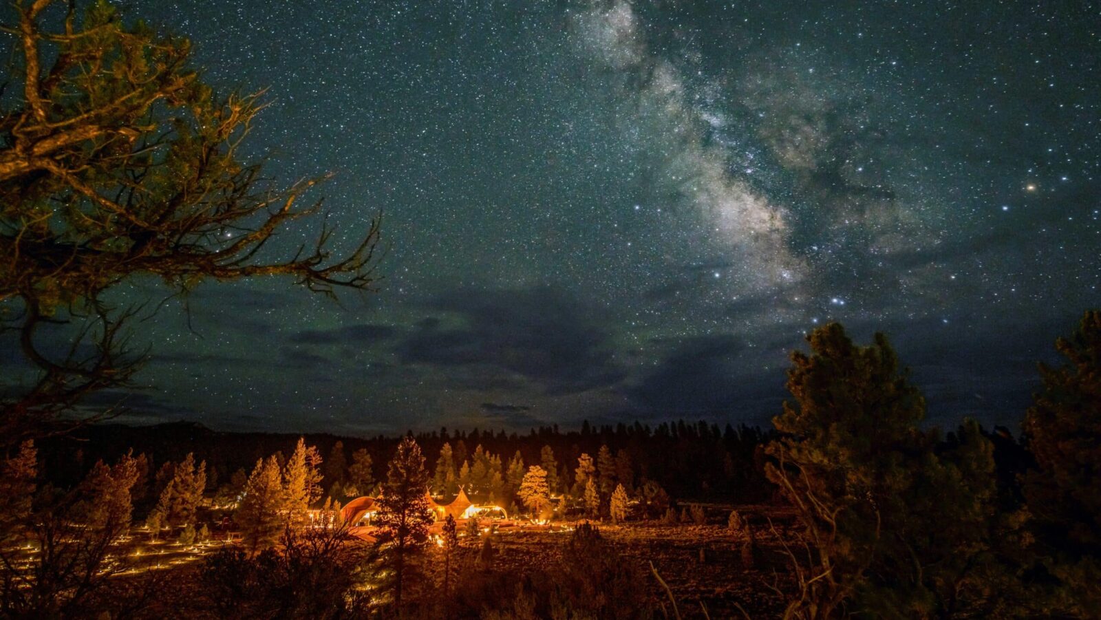 A starry night sky above the trees at Under Canvas Bryce Canyon