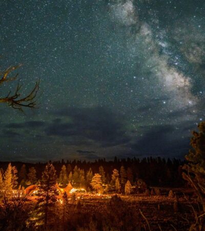 A starry night sky above the trees at Under Canvas Bryce Canyon