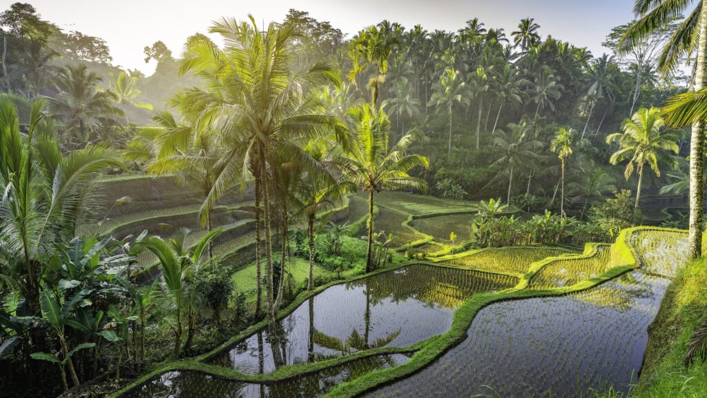 Explore some of Bali's most picturesque places with Contiki's Bali Island Hopping tour (Photo: Contiki)