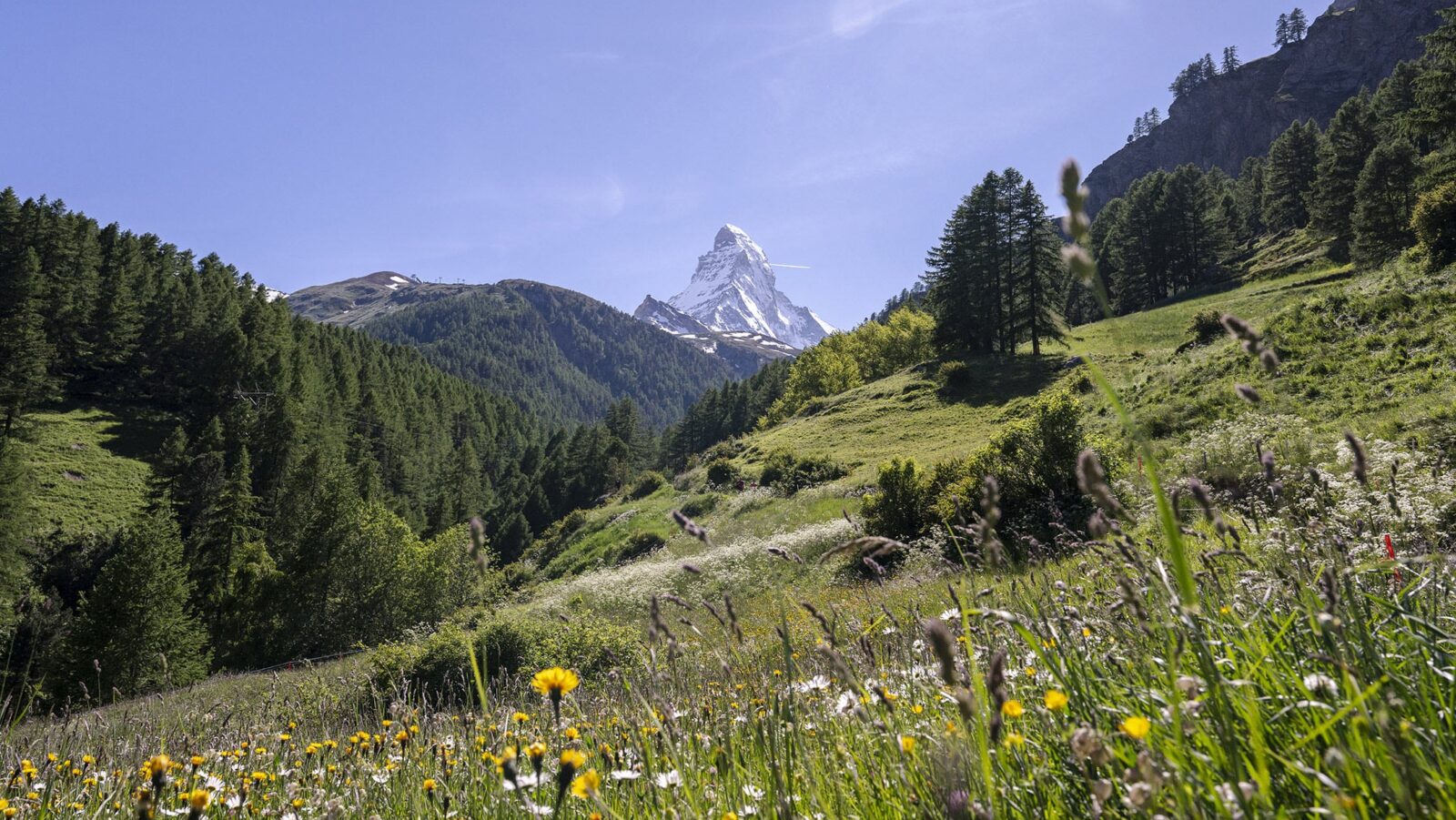 View of Swiss Alps with Matterhorn in distance