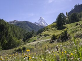 View of Swiss Alps with Matterhorn in distance