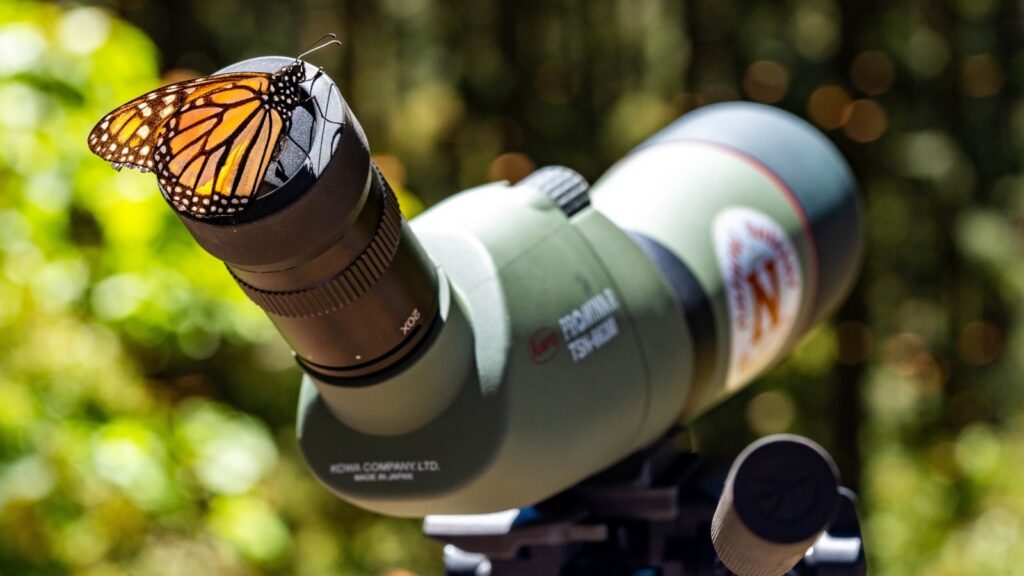 A butterfly sitting on the lens of a telescope