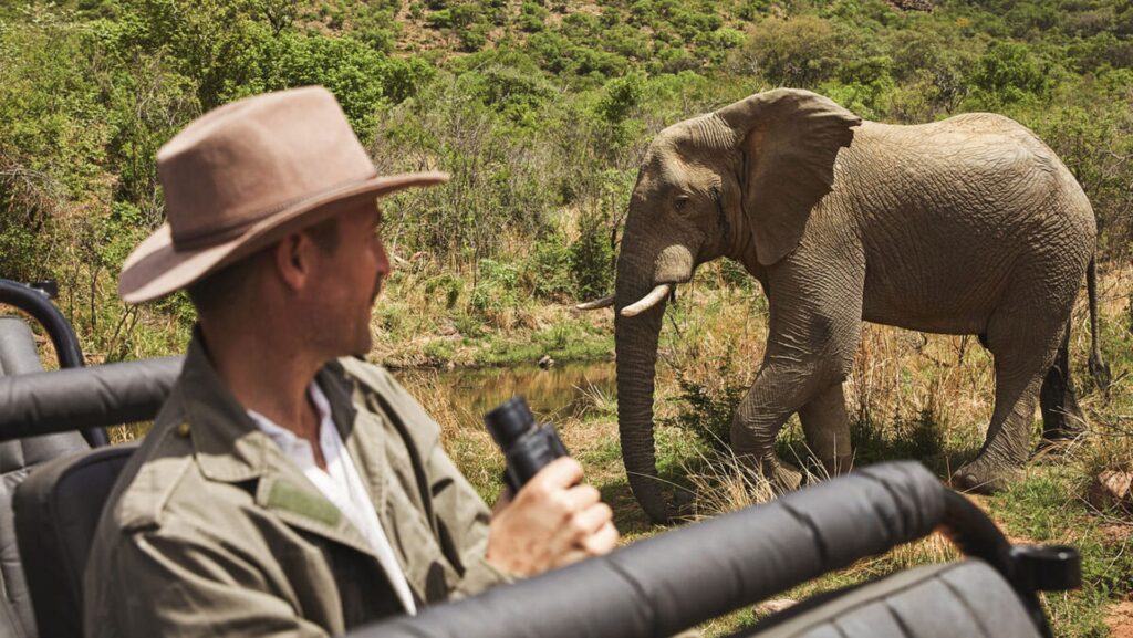 A man holding binoculars looking at an elephant on Roam by Tauck's South Africa and Mozambique trip