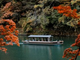 A boat in the water framed by blooming trees in Japan