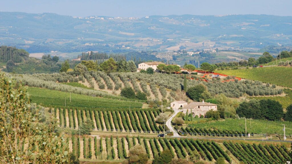 Vineyards in Tuscany