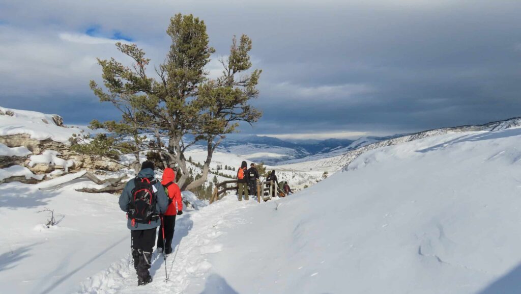 A group snowshoeing at Yellowstone