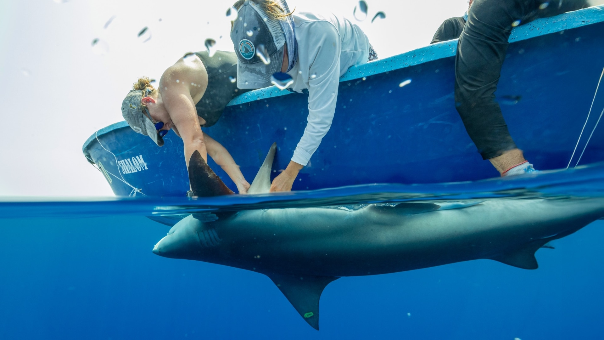 See the world while helping to protect it on new Earthwatch Expeditions by Nat Hab trips