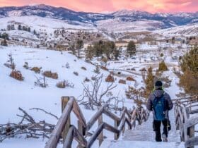 A backpacker walking down stairs at Yellowstone in the winter